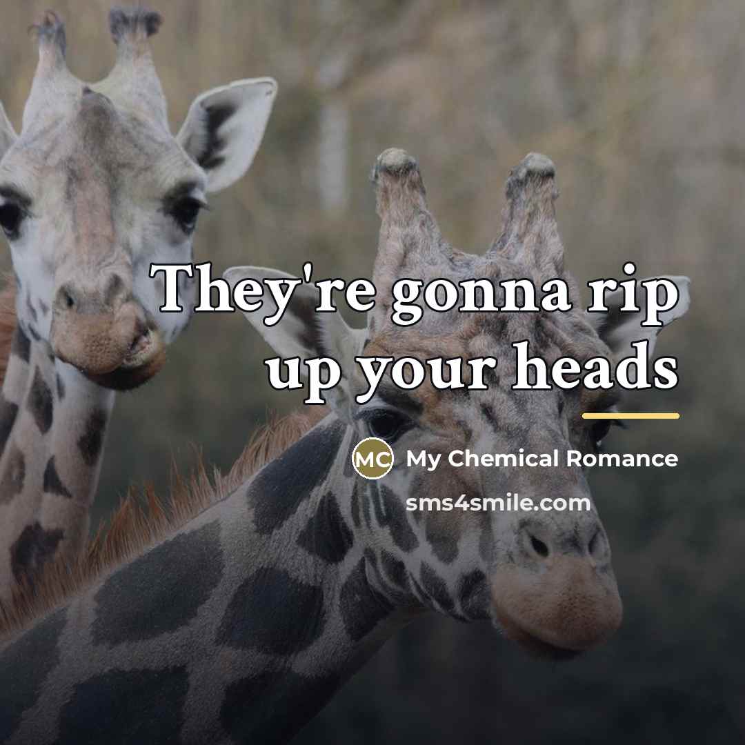 “They're gonna rip up your heads…” quote by My Chemical Romance