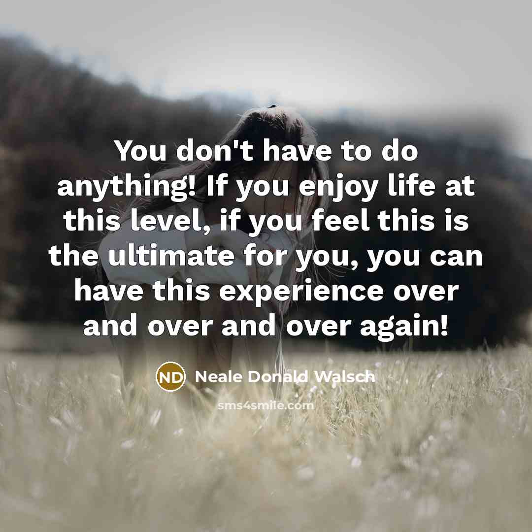 “You don't have to do anything! If you enjoy life…” quote by Neale Donald Walsch