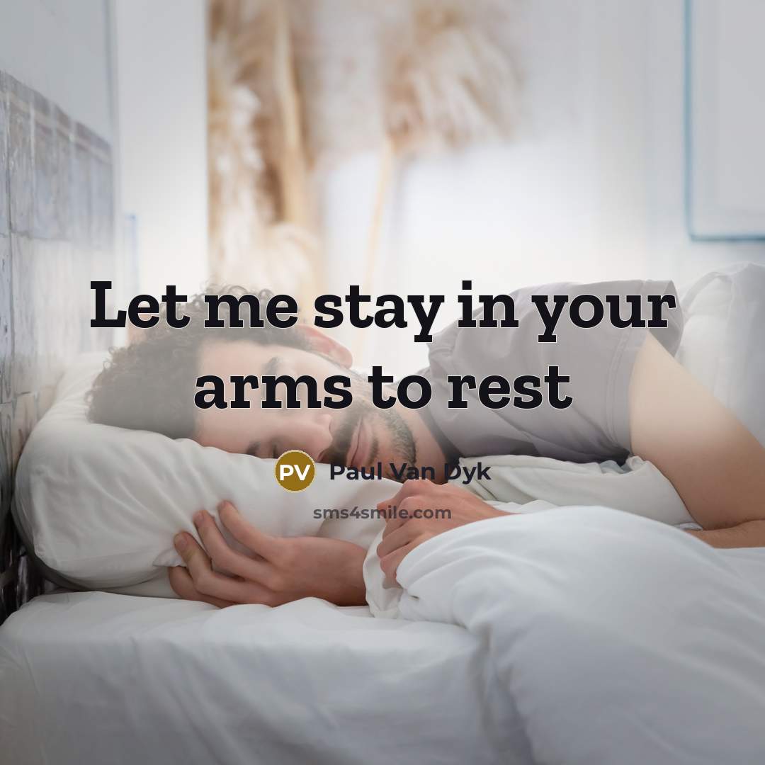 “Let me stay in your arms to rest” quote by Paul Van Dyk
