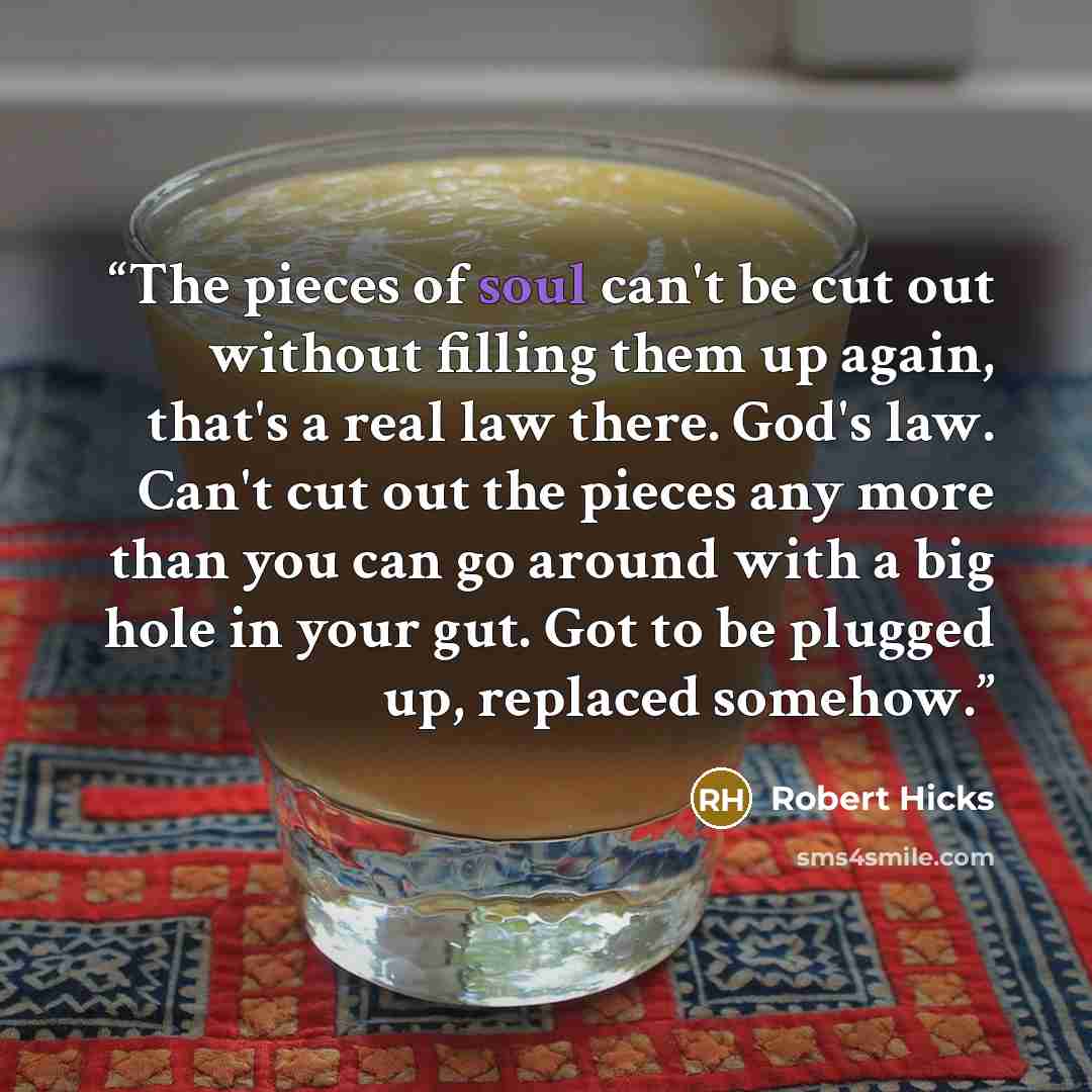 “The pieces of soul can't be cut out without filling them up again, that's a real law there. God's law. Can't cut out the pieces any more than you can go around with a big hole in your gut. Got to be plugged up, replaced somehow.” quote by Robert Hicks