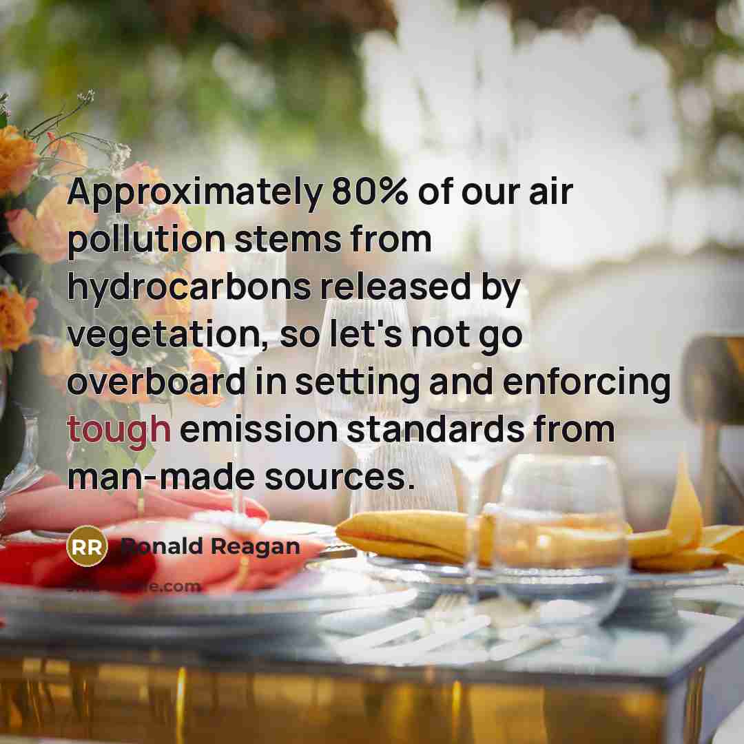 “Approximately 80% of our air pollution stems from hydrocarbons released…” quote by Ronald Reagan