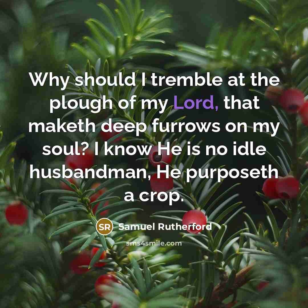 “Why should I tremble at the plough of my Lord,…” quote by Samuel Rutherford