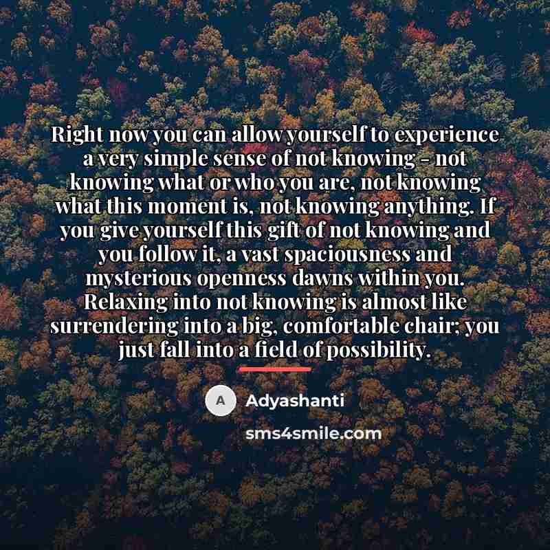 “Right now you can allow yourself to experience a very…” quote by Adyashanti