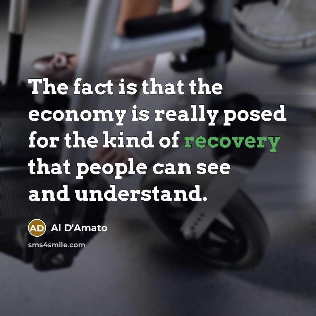 “The fact is that the economy is really posed for…” quote by Al D'Amato