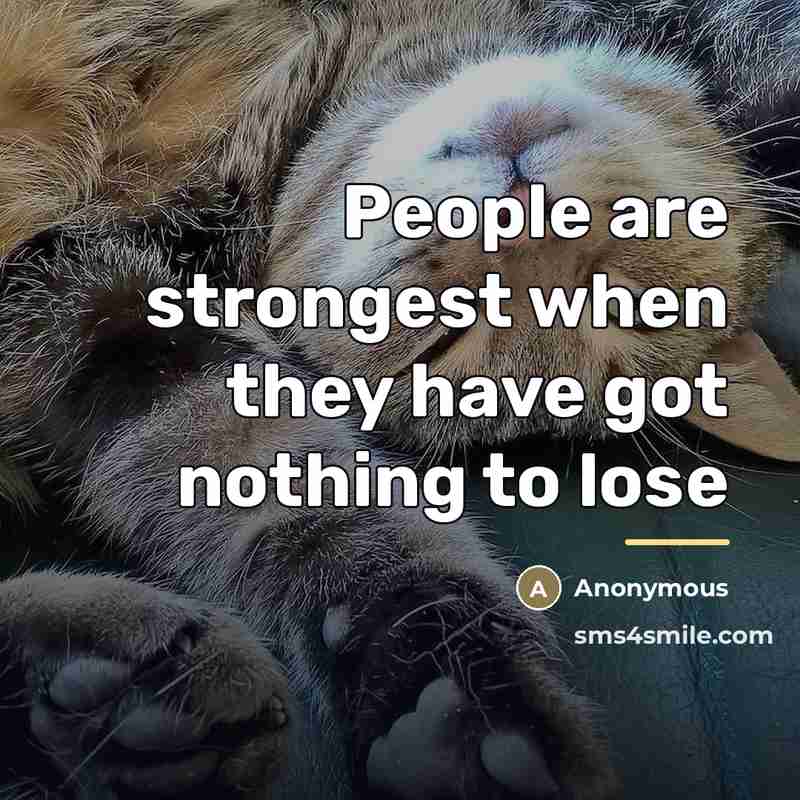 “People are strongest when they have got nothing to lose…” quote by Anonymous