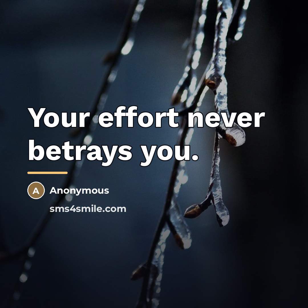“Your effort never betrays you.…” quote by Anonymous