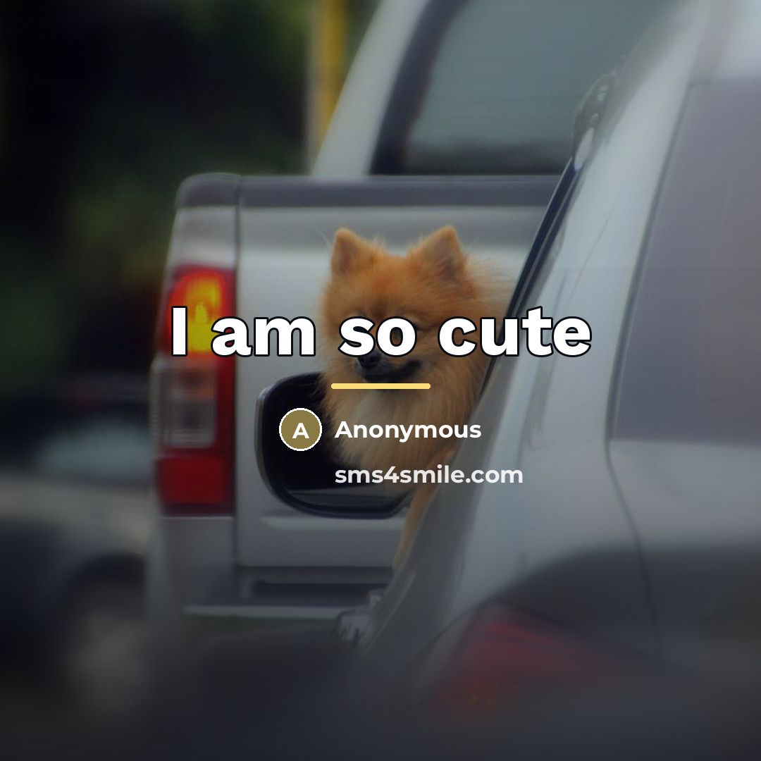 “I am so cute…” quote by Anonymous