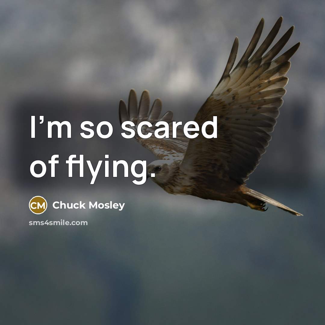 “I'm so scared of flying.…” quote by Chuck Mosley