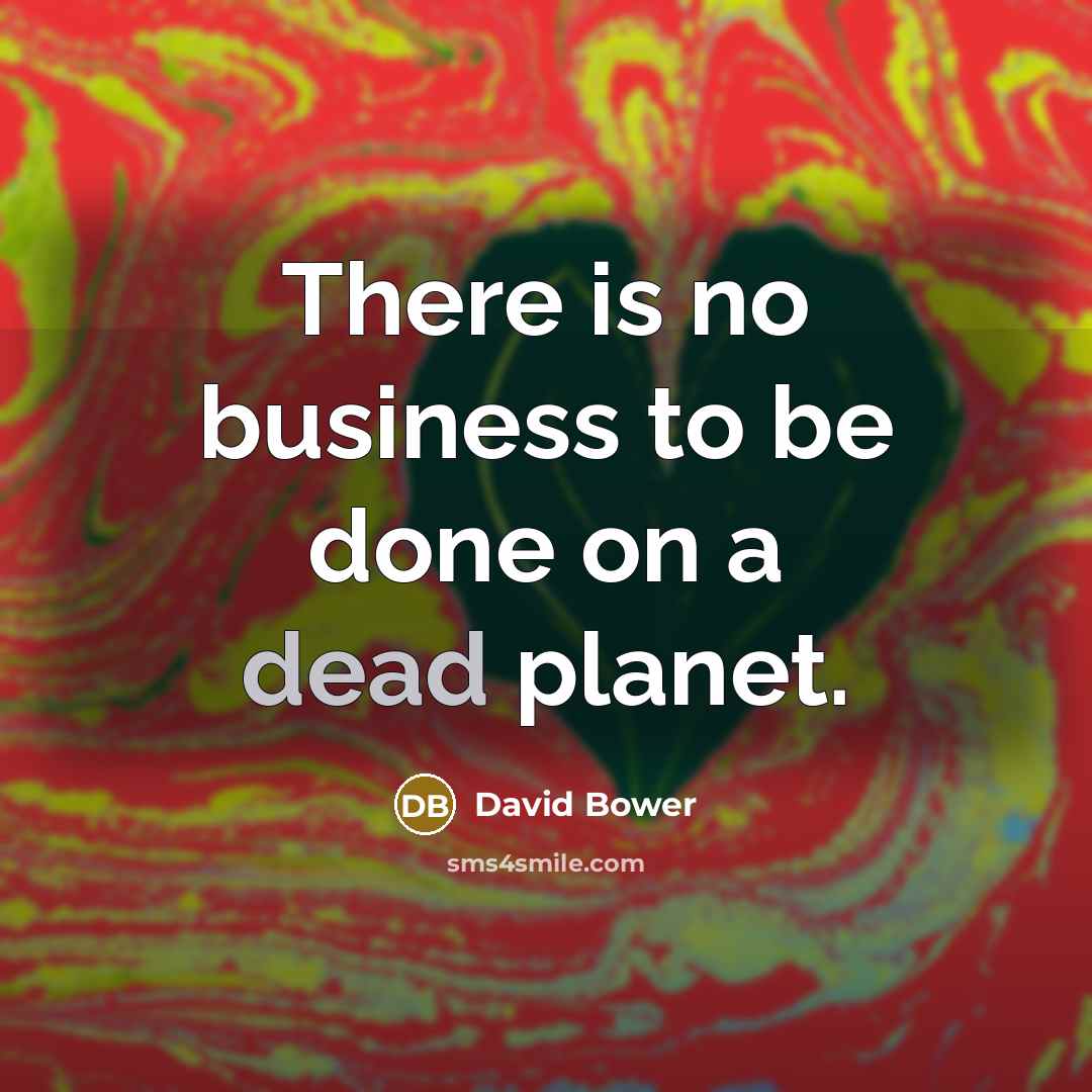 “There is no business to be done on a dead…” quote by David Bower