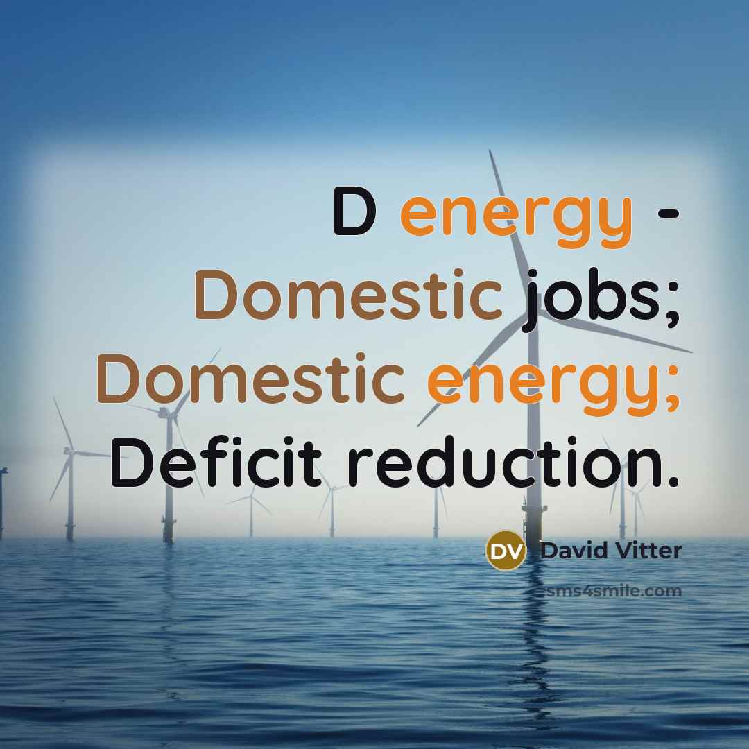 “D energy - Domestic jobs; Domestic energy; Deficit reduction.” quote by David Vitter