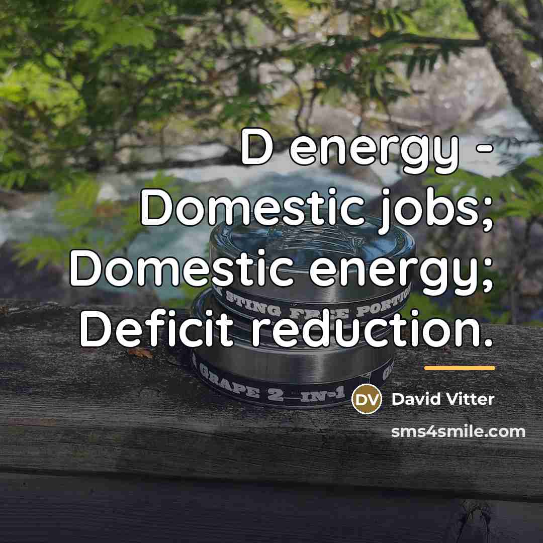 “D energy - Domestic jobs; Domestic energy; Deficit reduction.…” quote by David Vitter