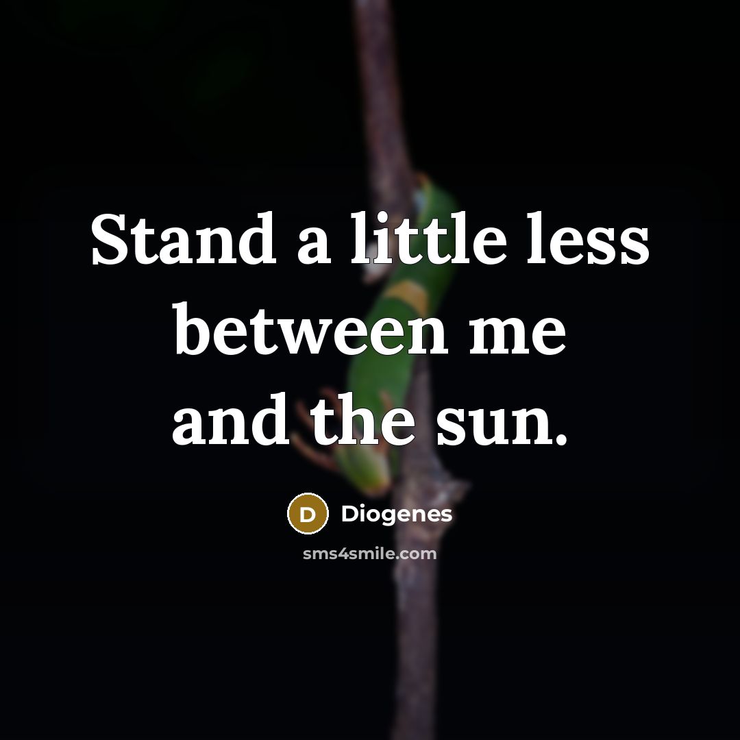 “Stand a little less between me and the sun.…” quote by Diogenes