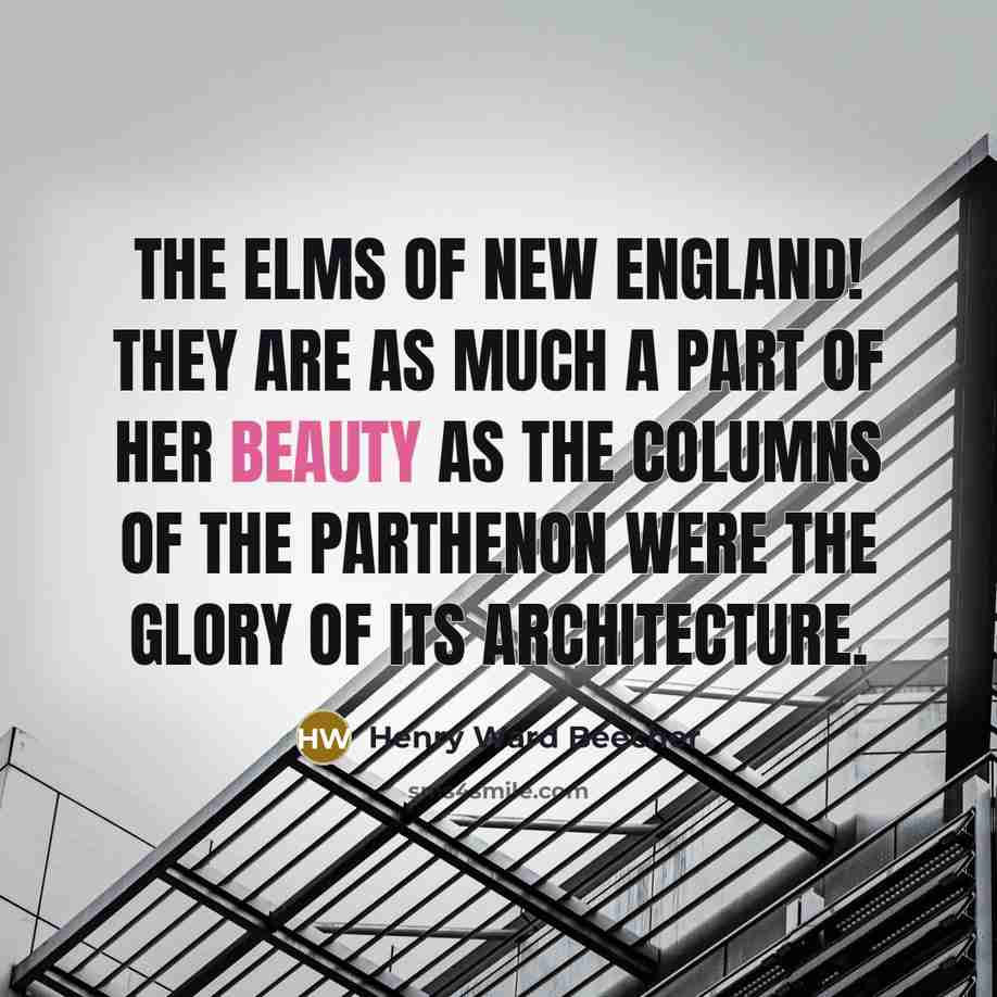 “The elms of New England! They are as much a…” quote by Henry Ward Beecher