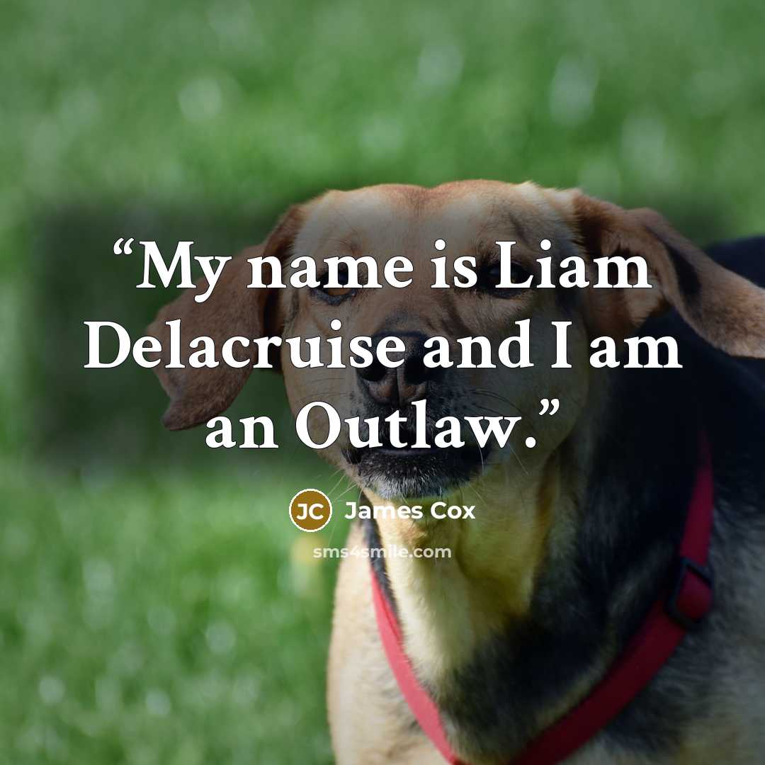 “My name is Liam Delacruise and I am an Outlaw.” quote by James Cox