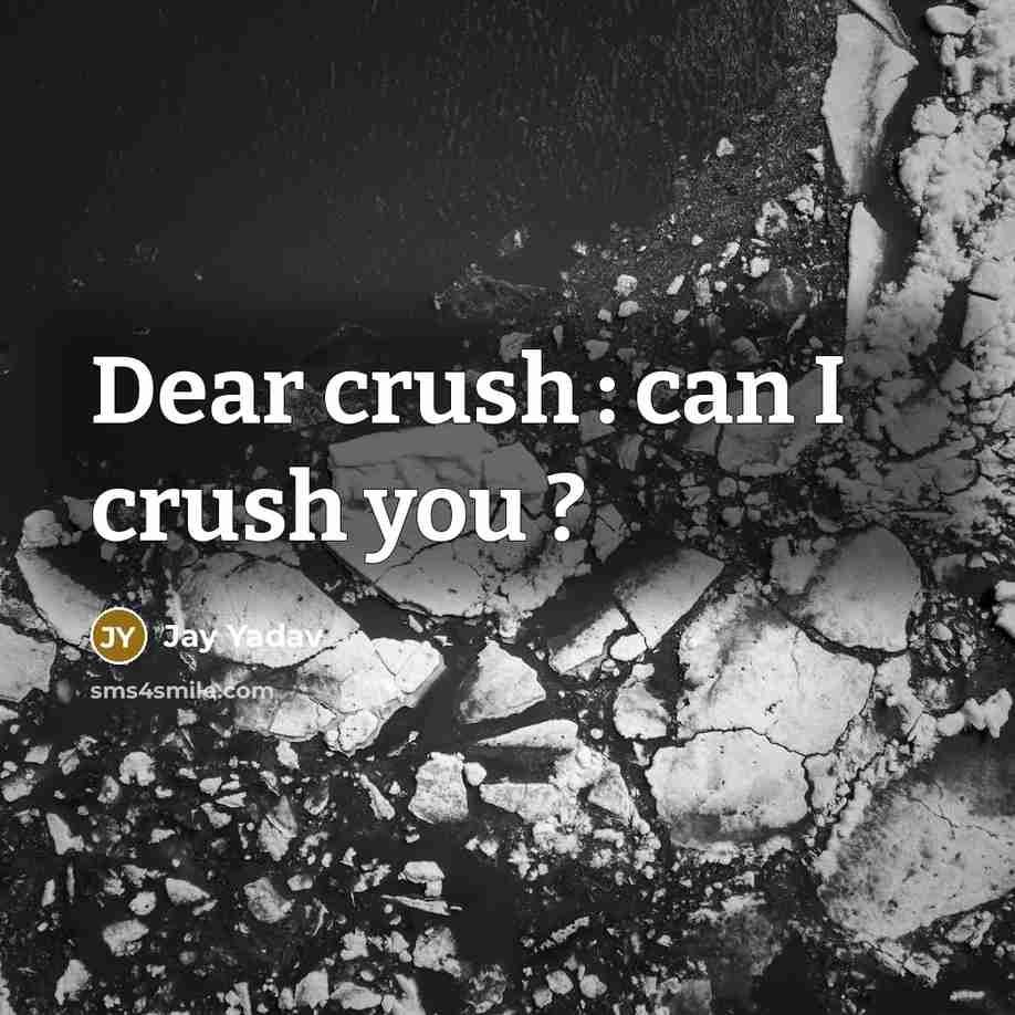 “Dear crush : can I crush you ?” quote by Jay Yadav