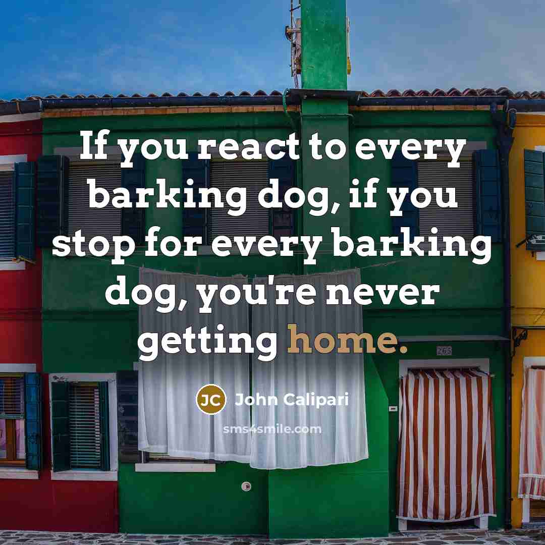 “If you react to every barking dog, if you stop for every barking dog, you're never getting home.” quote by John Calipari