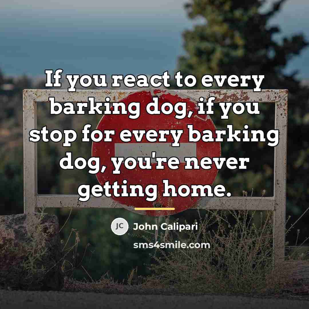 “If you react to every barking dog, if you stop…” quote by John Calipari