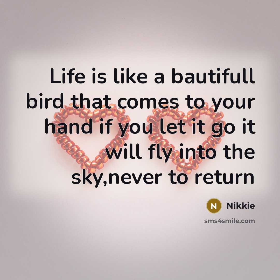 “Life is like a bautifull bird that comes to your…” quote by Nikkie