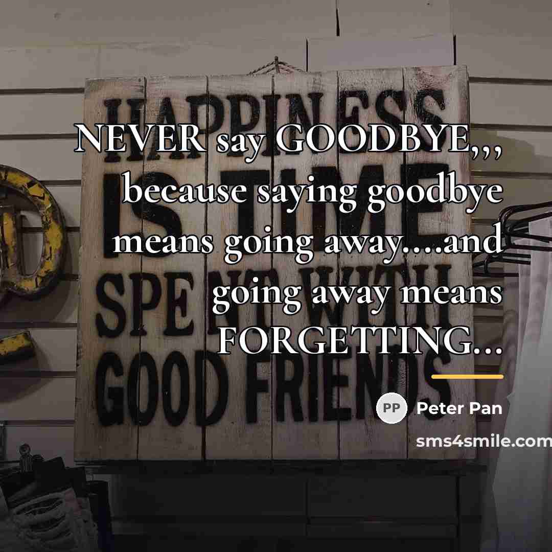 “NEVER say GOODBYE,,, because saying goodbye means going away....and going…” quote by Peter Pan