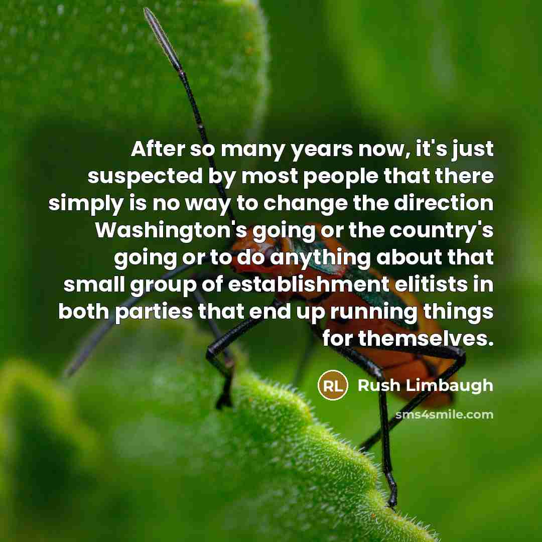 “After so many years now, it's just suspected by most…” quote by Rush Limbaugh