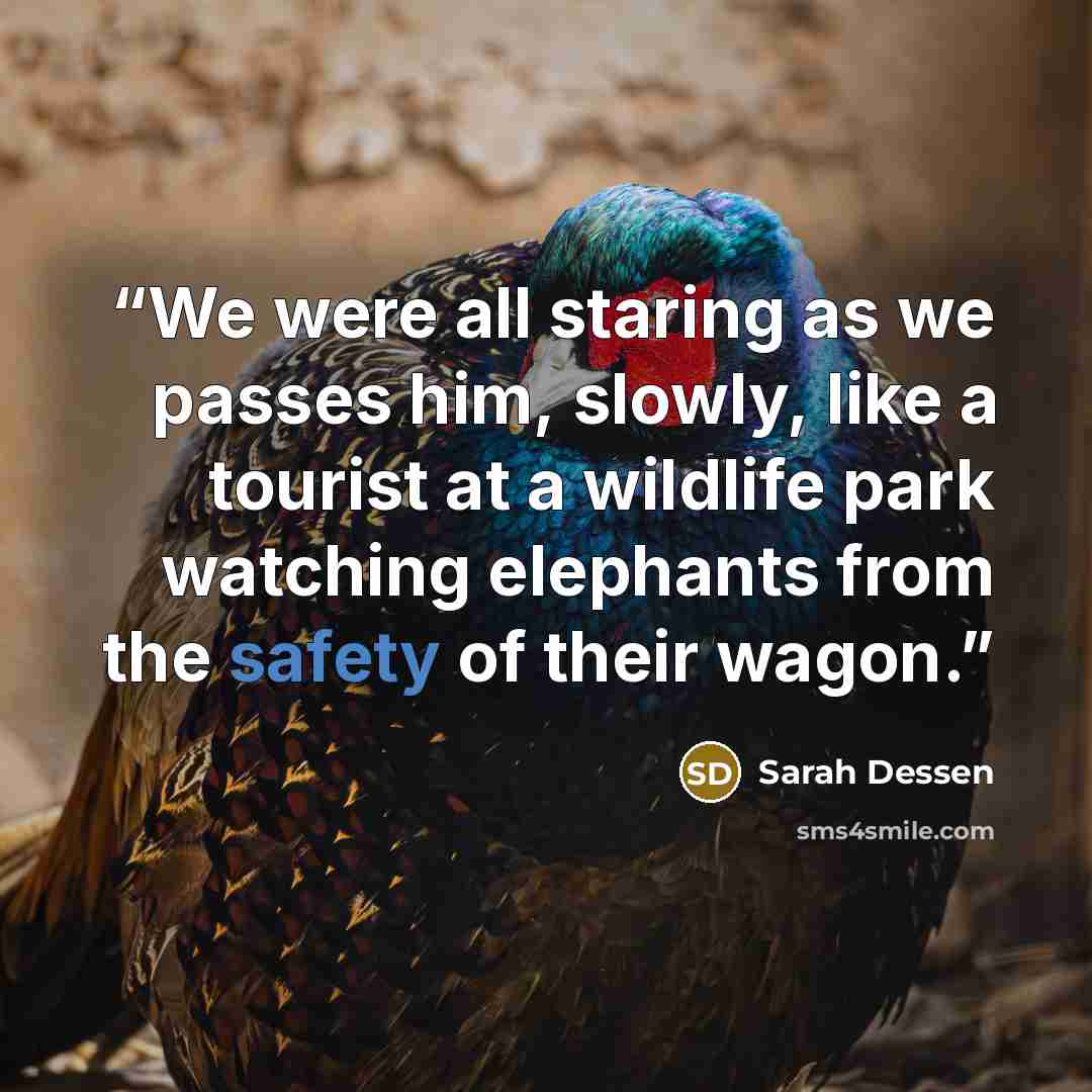 “We were all staring as we passes him, slowly, like a tourist at a wildlife park watching elephants from the safety of their wagon.” quote by Sarah Dessen