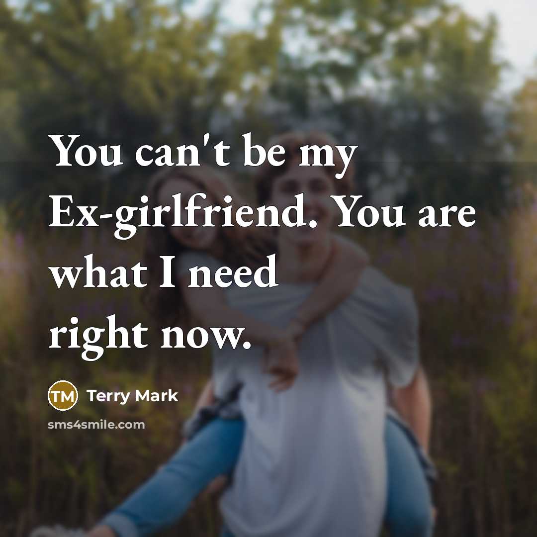 “You can't be my Ex-girlfriend. You are what I need…” quote by Terry Mark