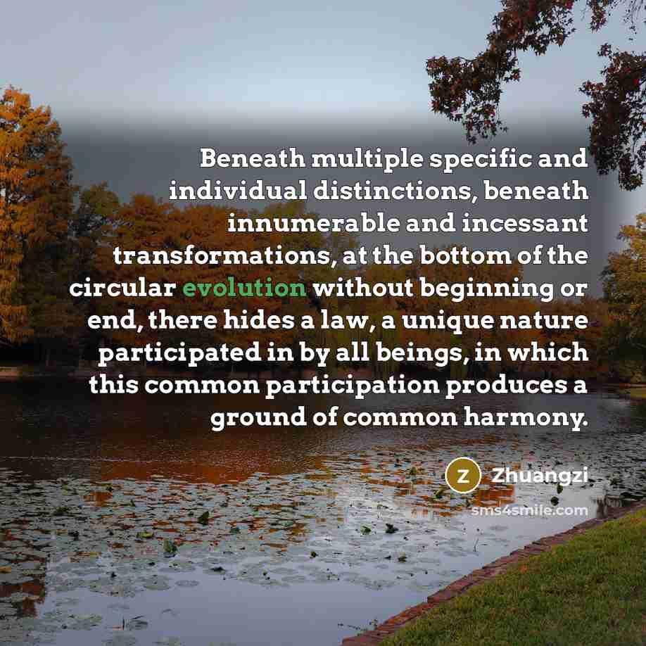 “Beneath multiple specific and individual distinctions, beneath innumerable and incessant…” quote by Zhuangzi