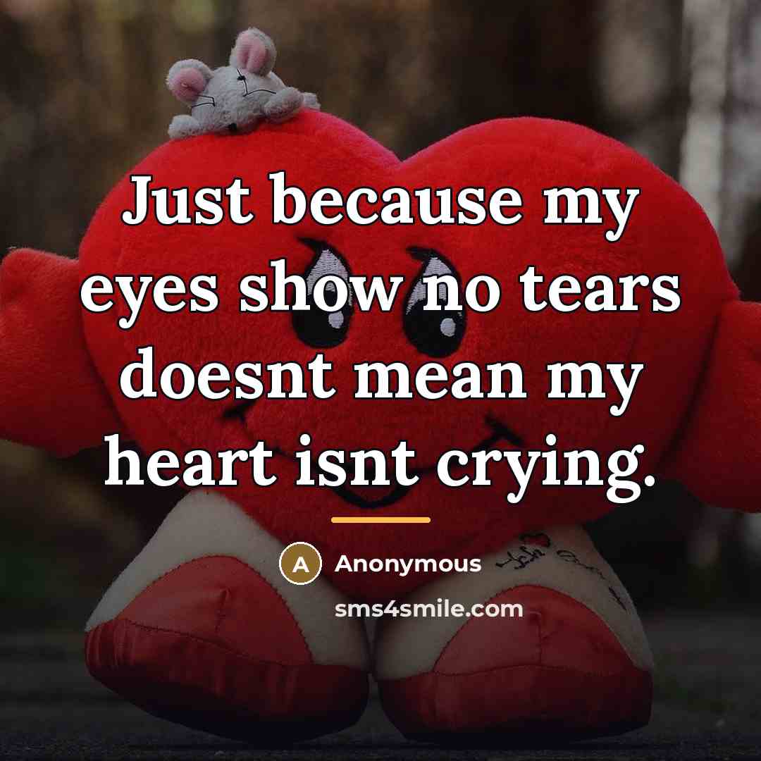 “Just because my eyes show no tears doesnt mean my…” quote by Anonymous