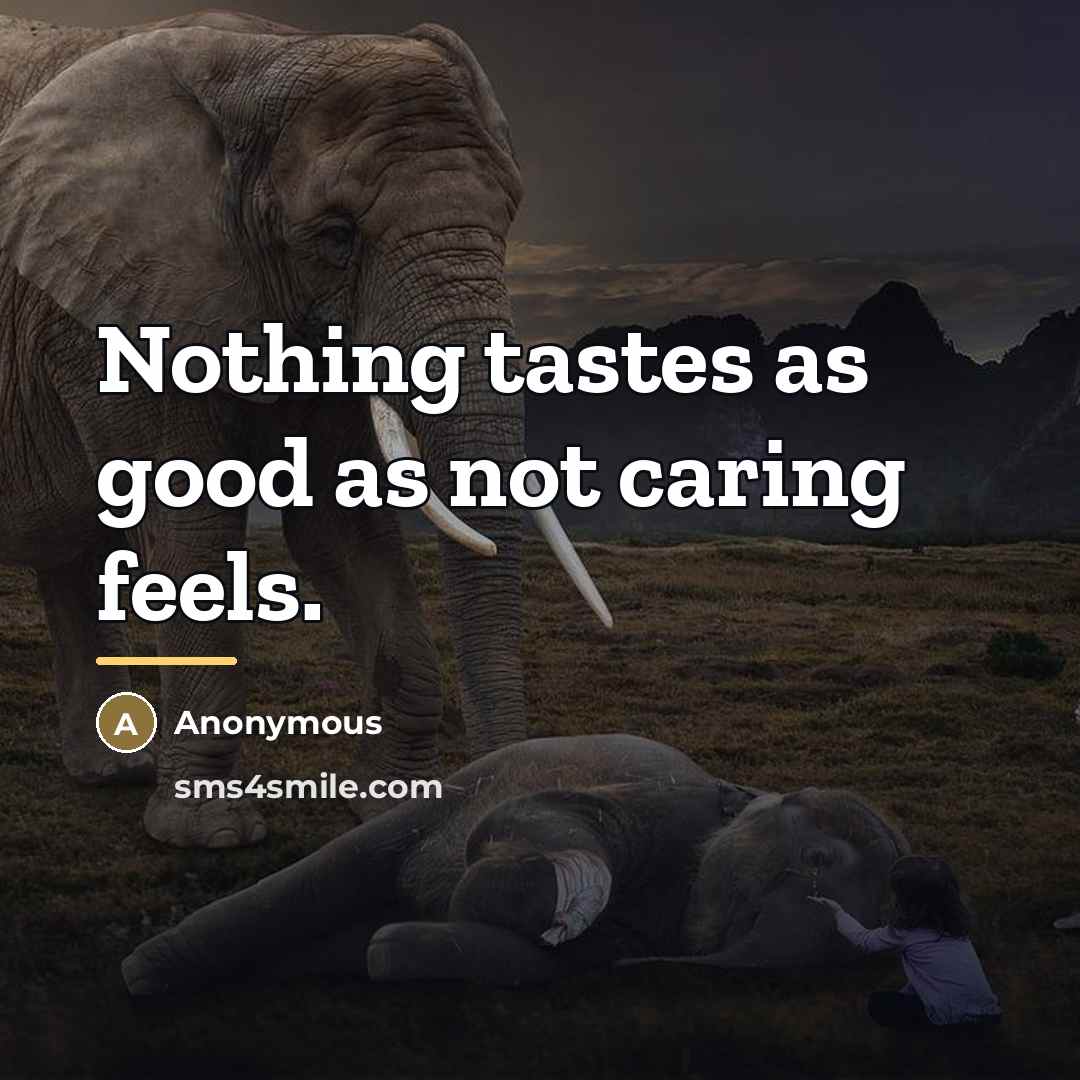 “Nothing tastes as good as not caring feels.…” quote by Anonymous