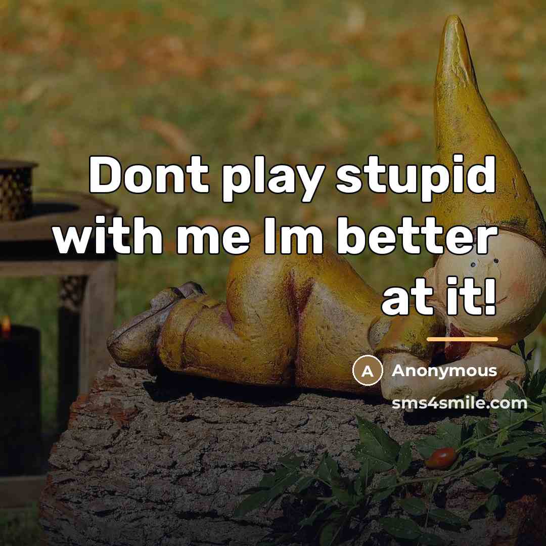 “Dont play stupid with me Im better at it!…” quote by Anonymous