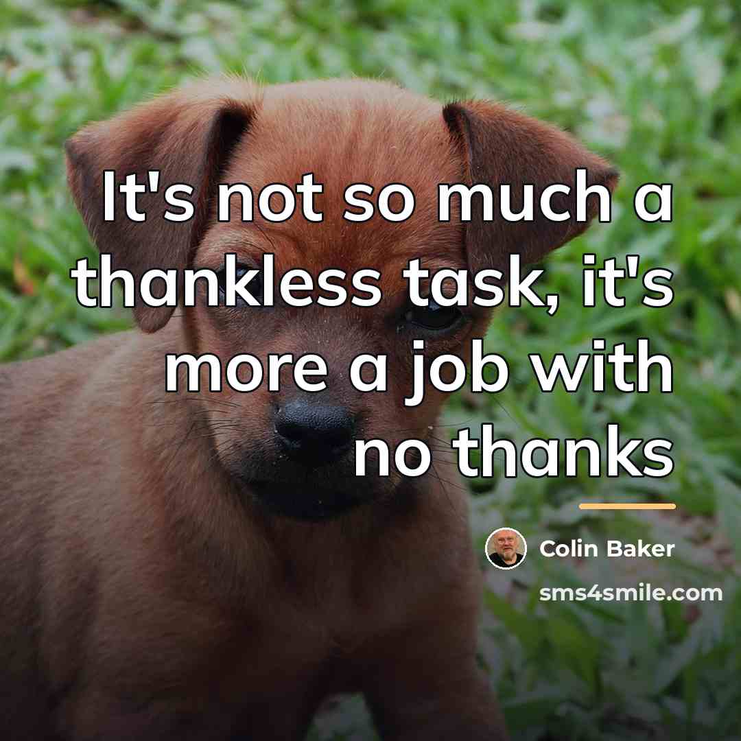 “It's not so much a thankless task, it's more a…” quote by Colin Baker