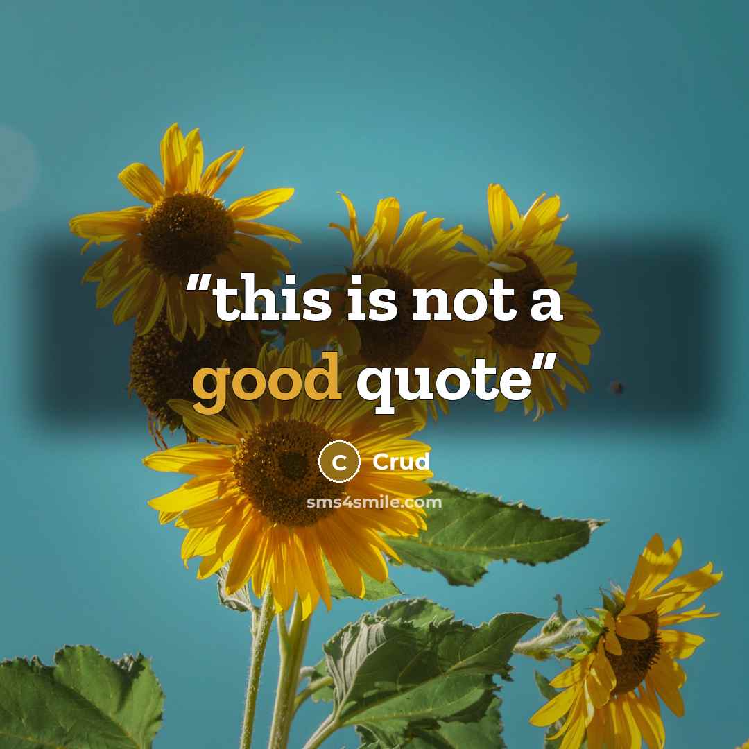 “this is not a good quote” quote by Crud