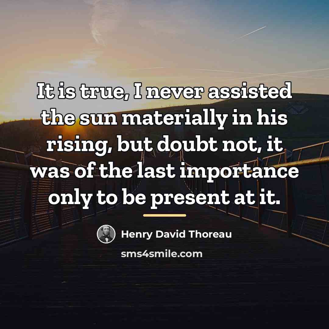 “It is true, I never assisted the sun materially in…” quote by Henry David Thoreau