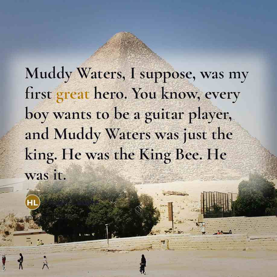 “Muddy Waters, I suppose, was my first great hero. You…” quote by Hugh Laurie
