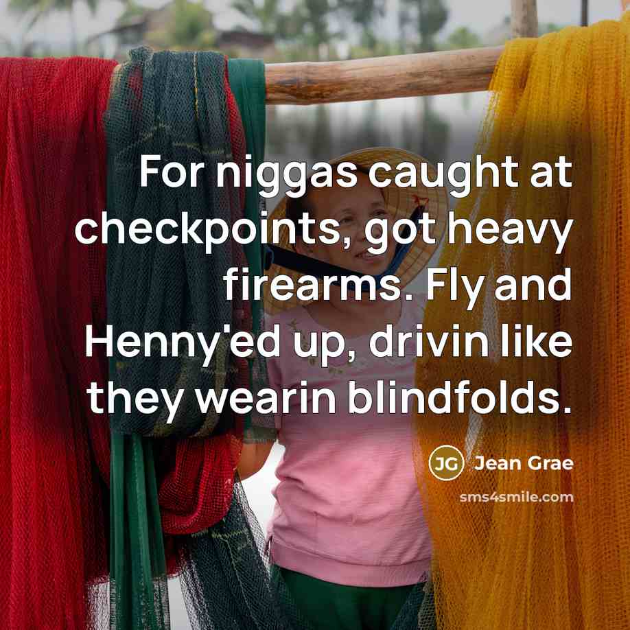 “For niggas caught at checkpoints, got heavy firearms. Fly and Henny'ed up, drivin like they wearin blindfolds.” quote by Jean Grae