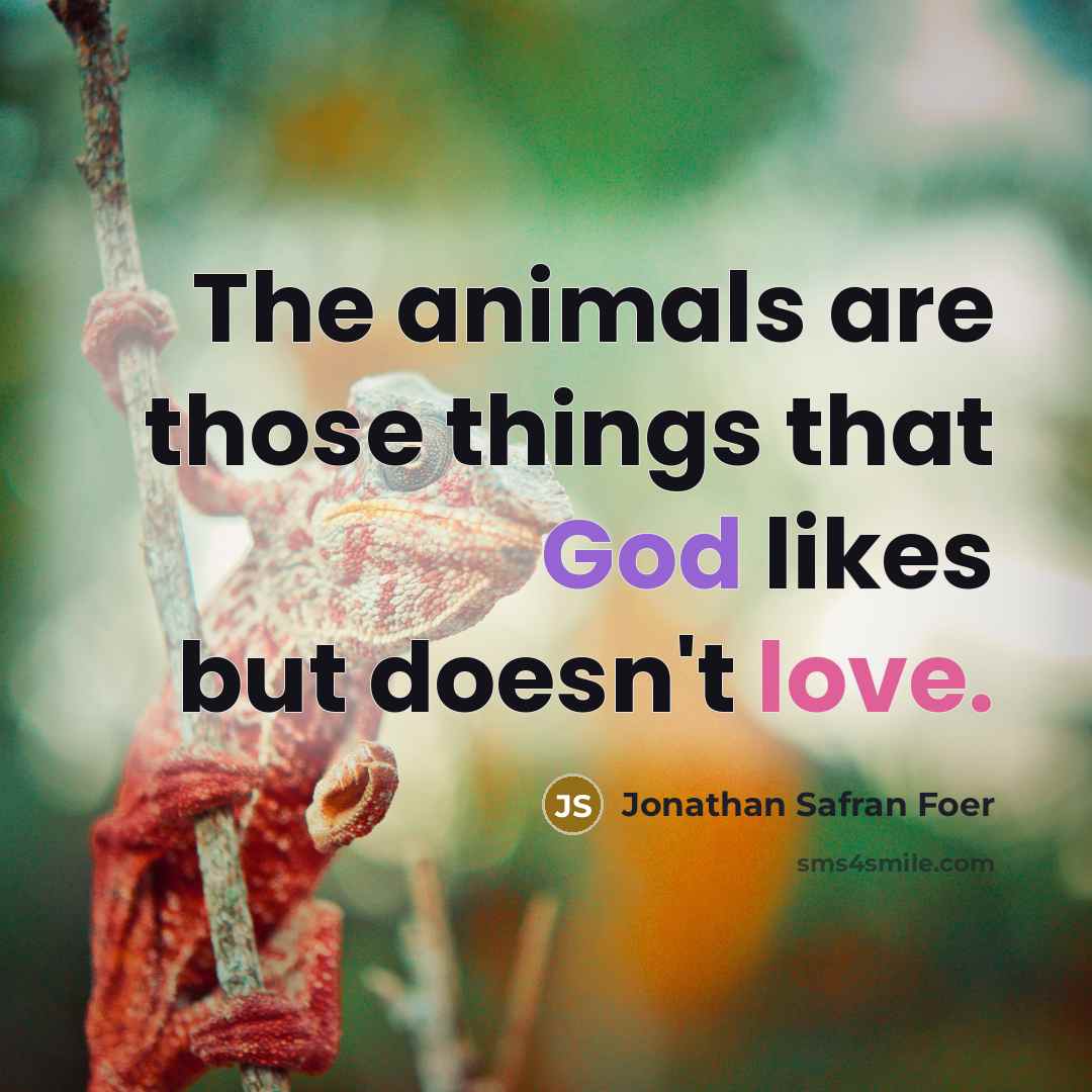 “The animals are those things that God likes but doesn't…” quote by Jonathan Safran Foer