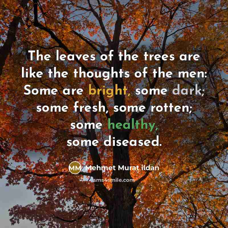 “The leaves of the trees are like the thoughts of…” quote by Mehmet Murat Ildan