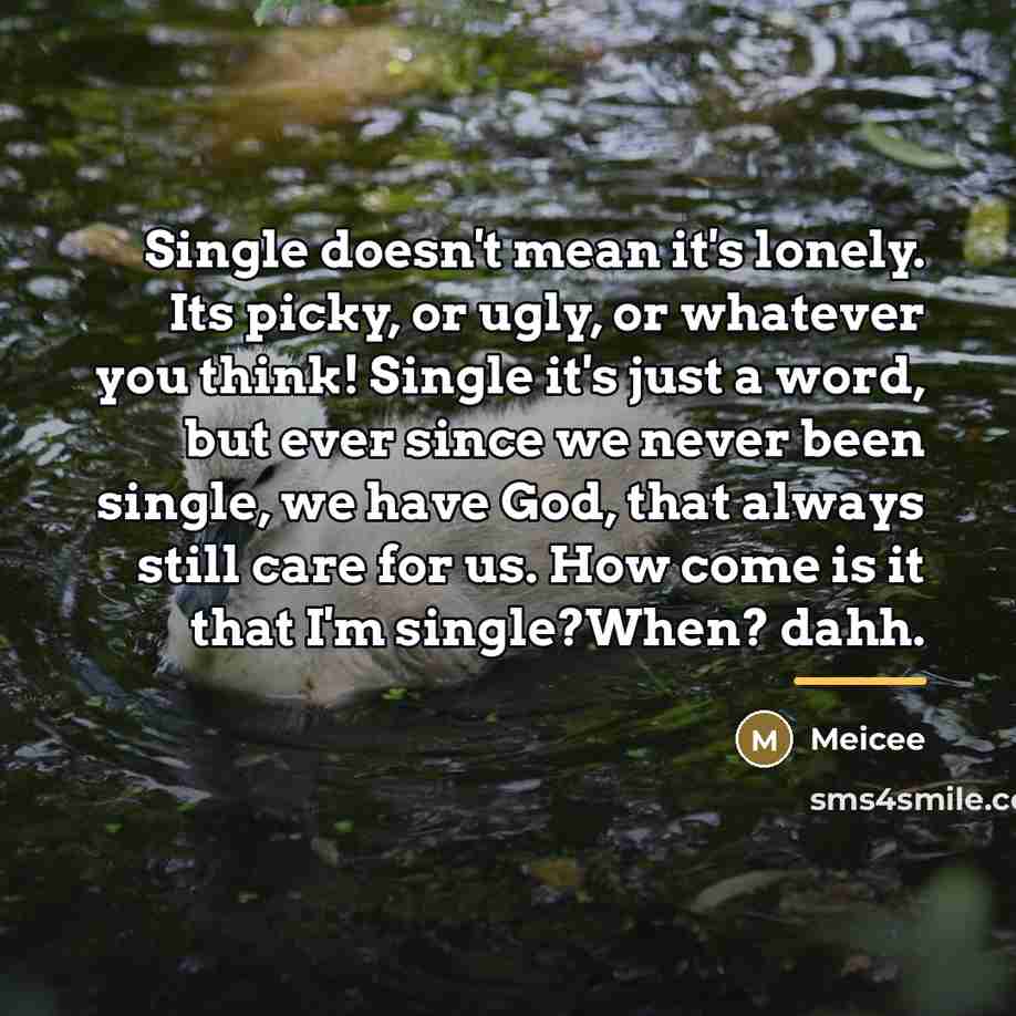 “Single doesn't mean it's lonely. Its picky, or ugly, or…” quote by Meicee