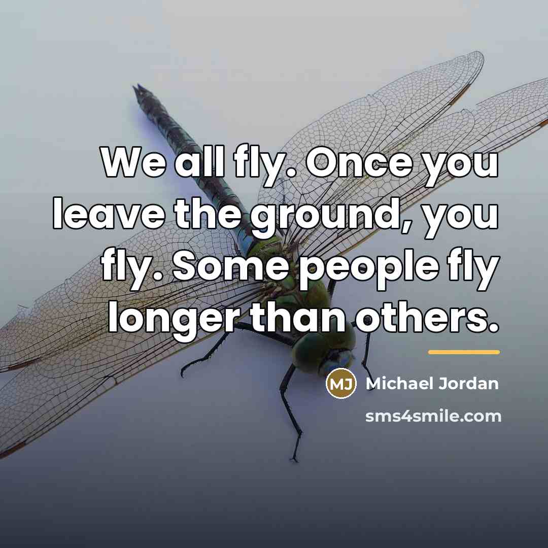 “We all fly. Once you leave the ground, you fly.…” quote by Michael Jordan