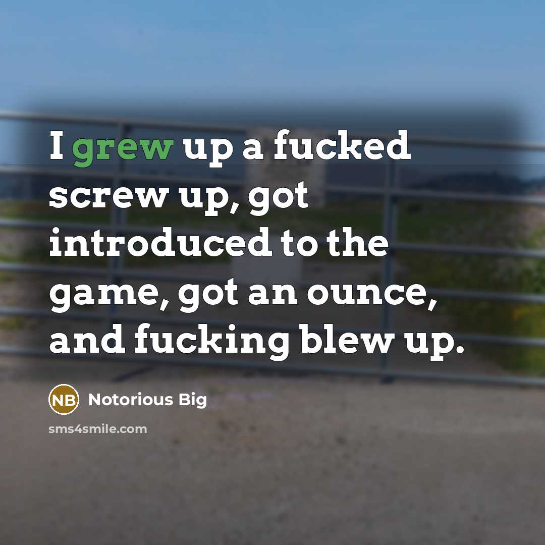 “I grew up a fucked screw up, got introduced to the game, got an ounce, and fucking blew up.” quote by Notorious BIG