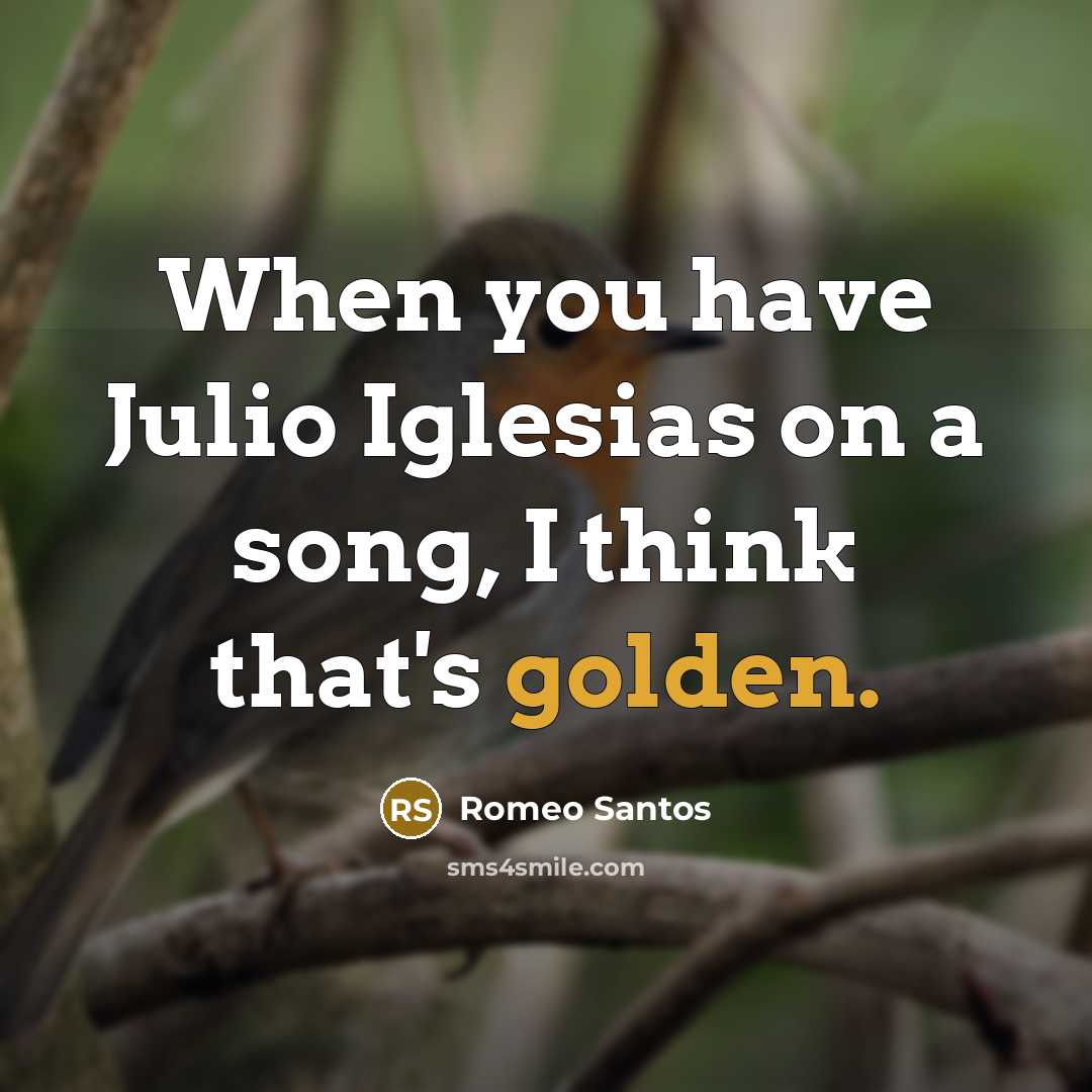“When you have Julio Iglesias on a song, I think…” quote by Romeo Santos