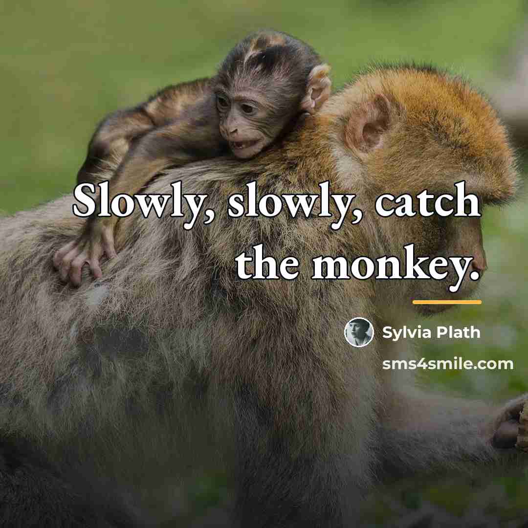 “Slowly, slowly, catch the monkey.…” quote by Sylvia Plath