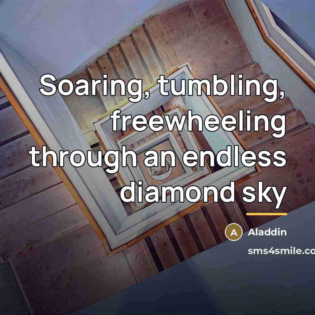 “Soaring, tumbling, freewheeling through an endless diamond sky…” quote by Aladdin