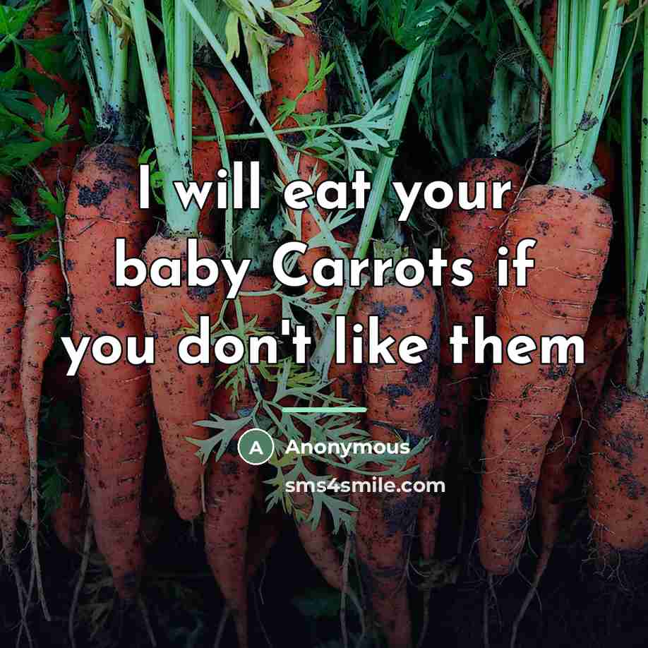 “I will eat your baby Carrots if you don't like…” quote by Anonymous