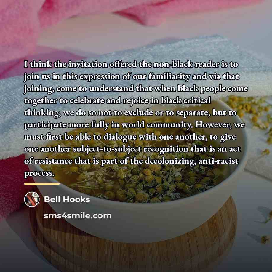 “I think the invitation offered the non-black reader is to…” quote by Bell Hooks