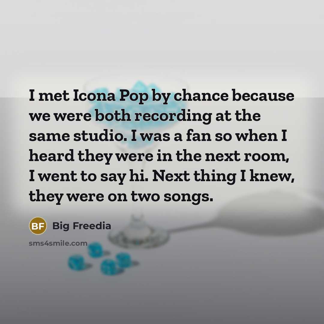 “I met Icona Pop by chance because we were both…” quote by Big Freedia
