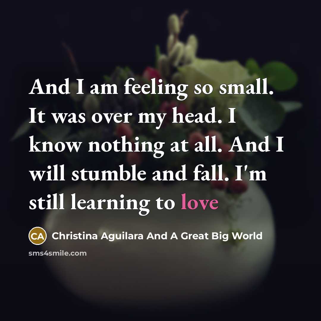 “And I am feeling so small. It was over my…” quote by Christina Aguilara And A Great Big World