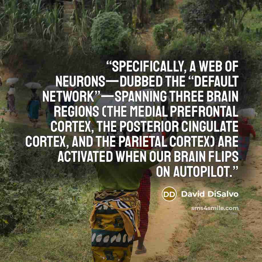 “Specifically, a web of neurons—dubbed the “default network”—spanning three brain regions (the medial prefrontal cortex, the posterior cingulate cortex, and the parietal cortex) are activated when our brain flips on autopilot.” quote by David DiSalvo