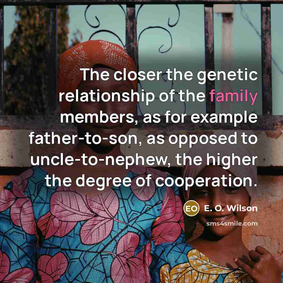 “The closer the genetic relationship of the family members, as…” quote by E. O. Wilson