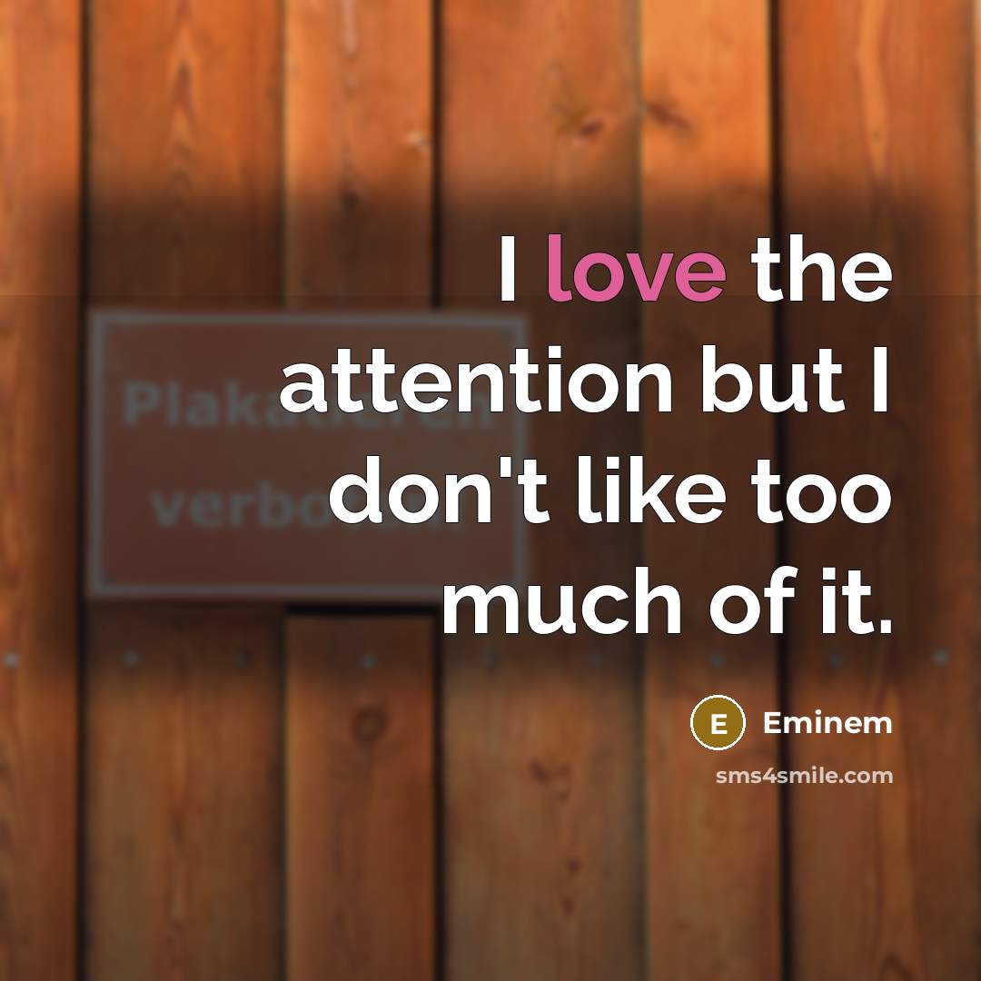 “I love the attention but I don't like too much…” quote by Eminem